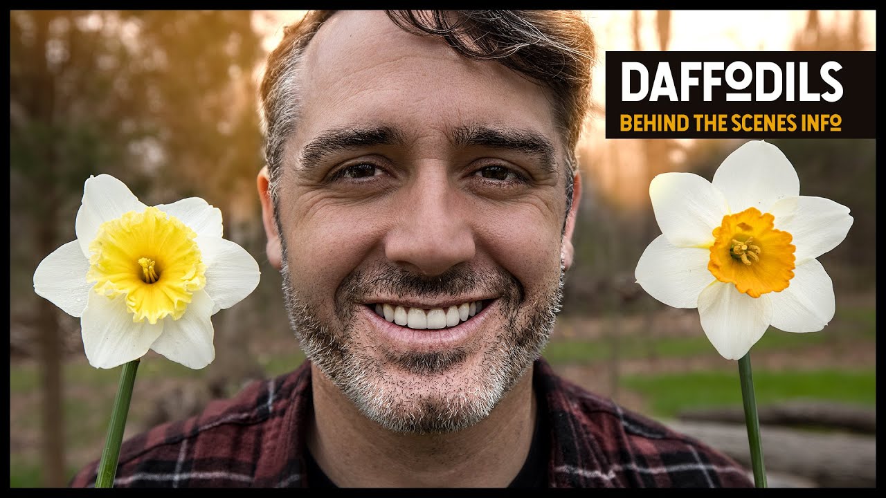 Факты о нарциссах, которые вы могли не знать