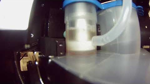 Automated Preparation of Nuclei from Mouse Kidney Tissue on Singulator 100 Developed by S2 Genomics
