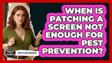 When Is Patching A Screen Not Enough For Pest Prevention?