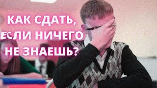 КАК СДАТЬ ОГЭ, ЕСЛИ НИЧЕГО НЕ ЗНАЕШЬ!?