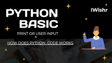 Python Basics for Beginners: Understanding 