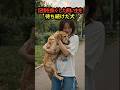 記憶を無くした飼い主を、待ち続けた犬。名前を呼ばれた、その時… #shorts