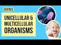 Living Organisms: Unicellular vs Multicellular Marvels