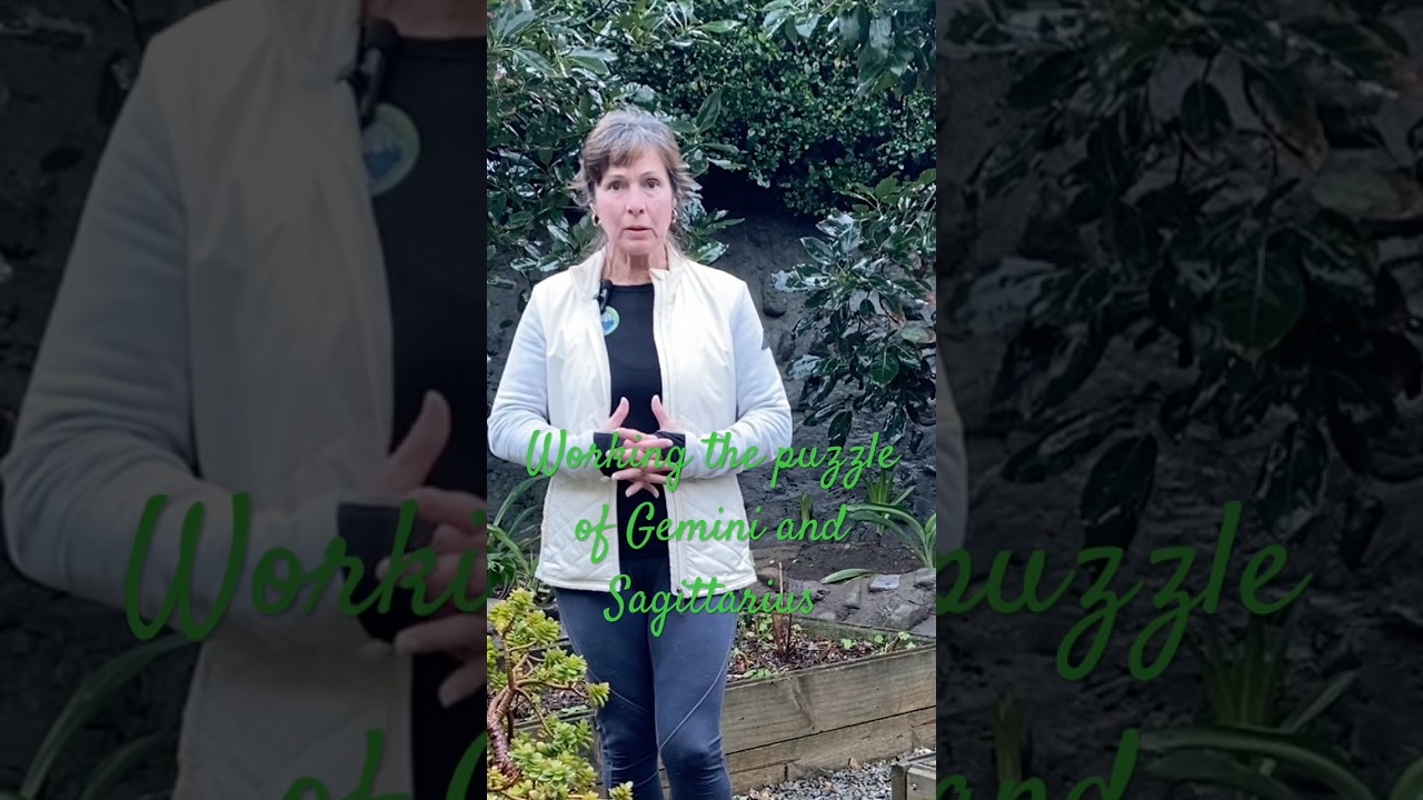 Hearing the Messages of Authenticity & Truth | Sagittarius Full Moon & the 35 Day Detox