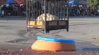 Smiley Pumpkin Drop 2014