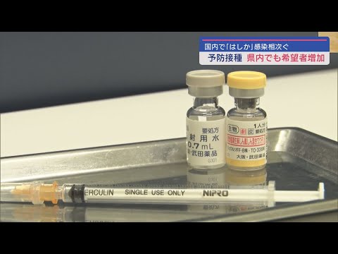 国内で感染確認相次ぐ「はしか」県内は5年前が最後 予防接種希望が急増【新潟】スーパーJにいがた3月27日OA