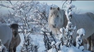 أويمياكون الروسية أكثر المناطق المأهولة في العالم...