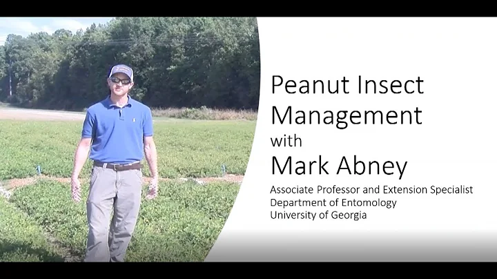 Peanut Insect Management with Dr. Mark Abney