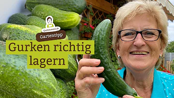 Kann man Gurken und Tomaten zusammen lagern?