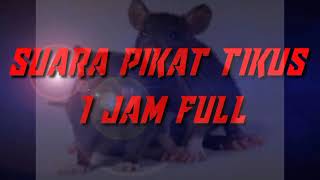 suara pemikat tikus ampuh 1 jam full || tikus pasti datang