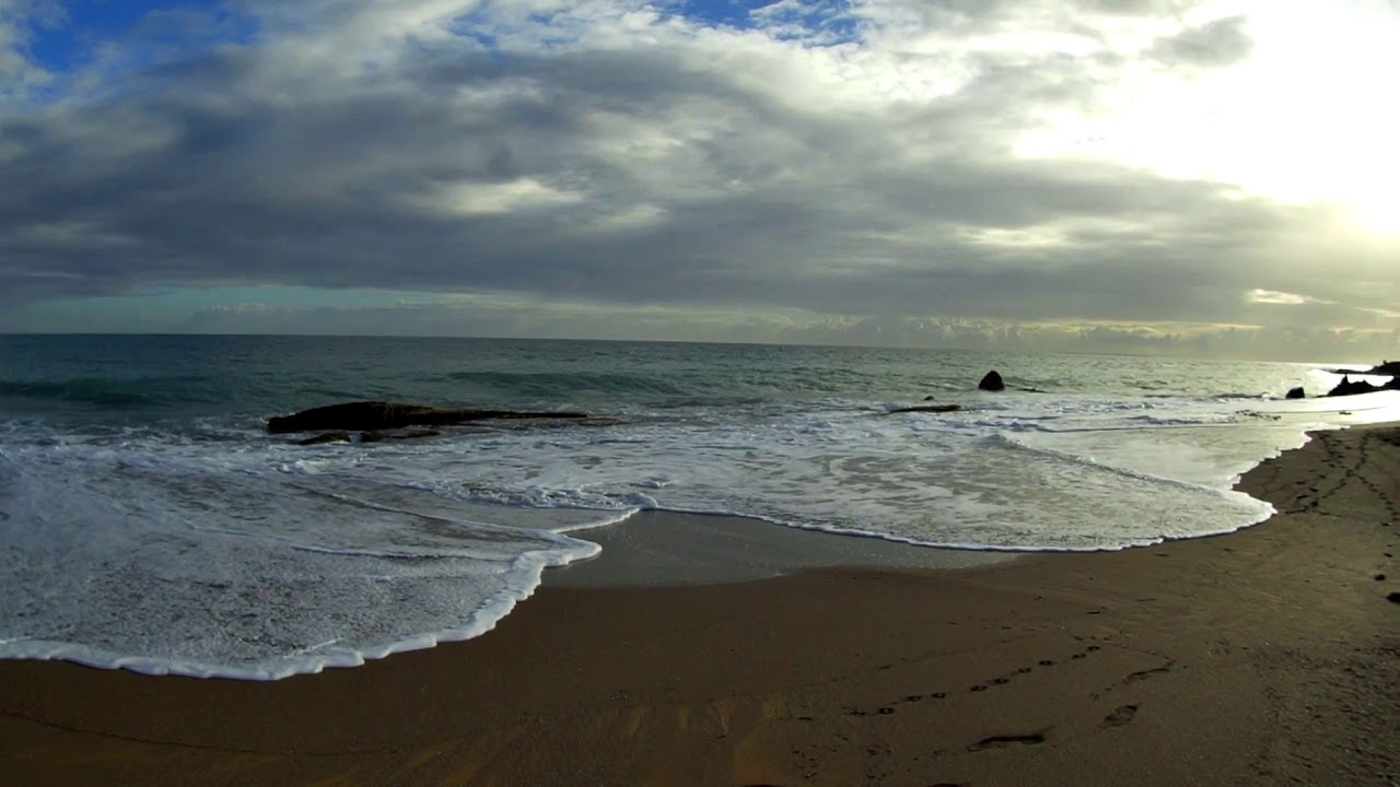 My lill' Tamool (C/ willy BLONBOU) - YouTube