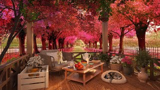 Spring Ambience - Cherry Blossom Trees - ASMR Ambience By Alley Music 🌸🌳🌺
