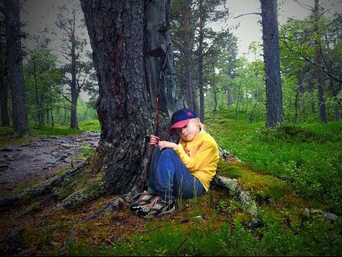 Video: Sju Bästa Nationalparker För Att Besöka Gamla Tillväxtskogar - Matador Network