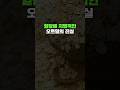 혈당에 치명적인 오트밀의 진실 혈당에 치명적인 오트밀의 진실