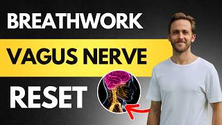 If I Were Starting My Nervous System Journey In 2026, Here Is Step One