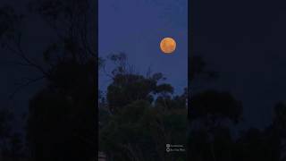 🌕 Last full moon of 2023 over the farm! Cold moon📍 Western Australia #fullmoon #moon #Australia