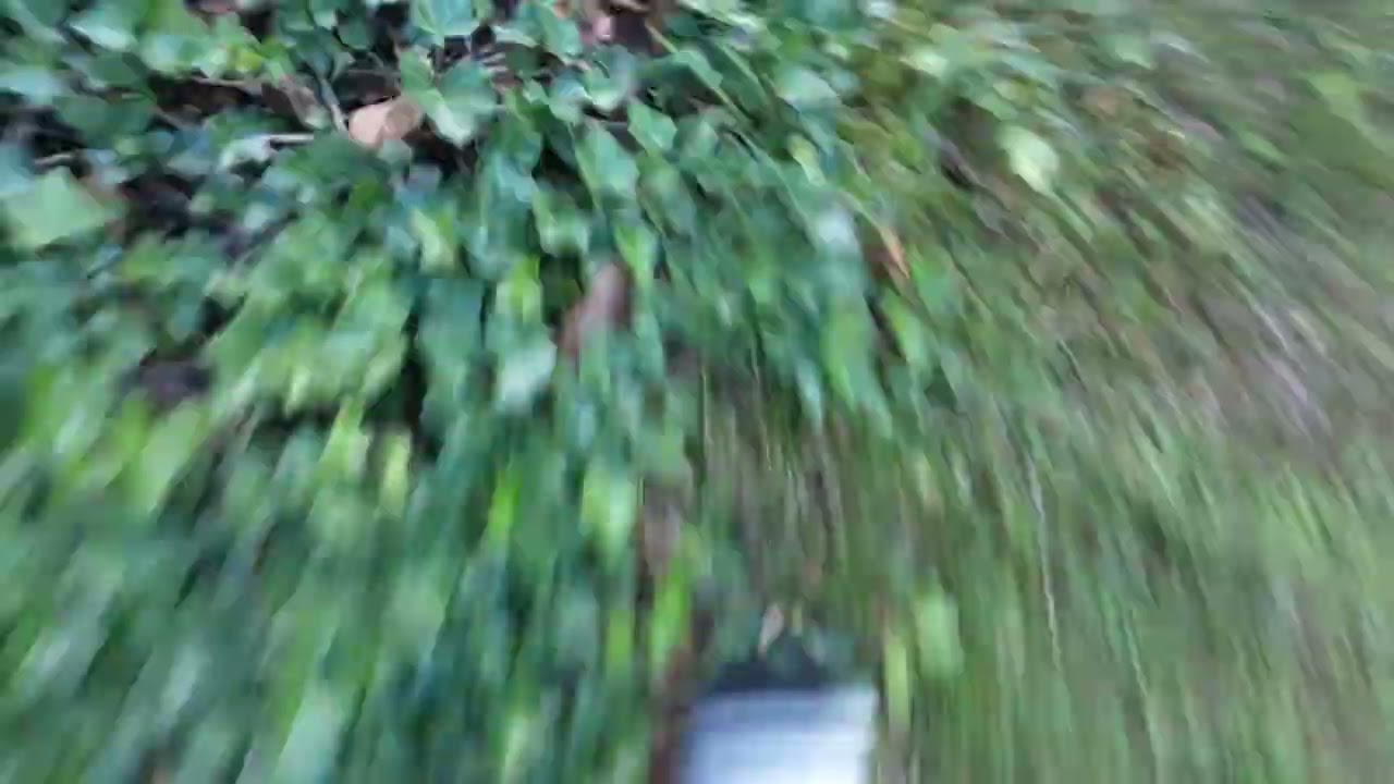 Wij waren een emmer Kapot aan het maken 