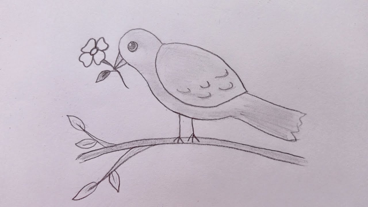 Bird drawing easy - YouTube