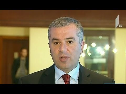 დავით ბაქრაძე საქართველოში მოღვაწე ამერიკელ ბიზნესმენებს შეხვდა