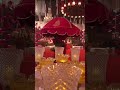 light decoration and home decoration #trending #decoration #song #party #shorts #viral #shortsfeed