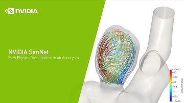 Flow Physics Quantification in an Aneurysm Using NVIDIA PhysicsNeMo