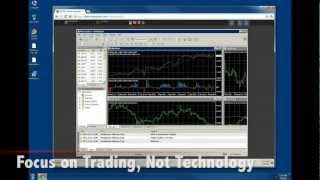 Red Paladin Nexus Forex VDI - Next Generation Forex VPS