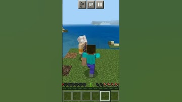 chainsaw man took revenge of pochita #minecraft #viral #chainsawman