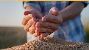 A New Concessional Finance Toolkit | The EU