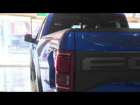 ＦＯＲＤ　ＰＥＲＦＯＲＭＡＮＣＥ　　広島マツダ「カーエース」にいたでっかい子♡