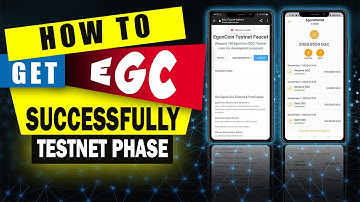 How to Successfully Get EgonCoin Test Coin | EgonCoin Blockchain TestNet