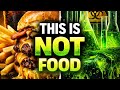 This Isn’t Food Anymore