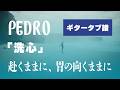 PEDRO - 洗心 ギタータブ譜