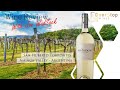 Wine review  san huberto torrontes