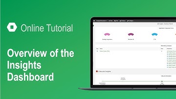 Overview of the Insights Dashboard in ADOIT