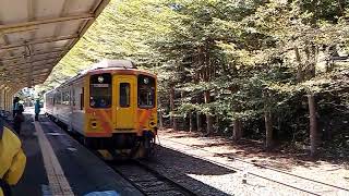 臺鐵集集線DRC1000型柴油客車水里站進站 | 2016.1.26 | Taiwan Railway | 粘粘的鐵道攝影