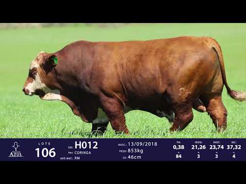 LOTE 106 - TAT H012