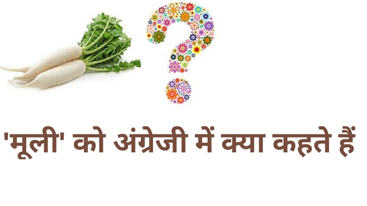 मूली को इंग्लिश में क्या कहते हैं mooli ko english me kya kehte hai vegetables name in