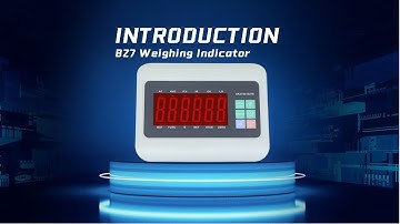China lilascale:B27 Weighing Indicator Introduction