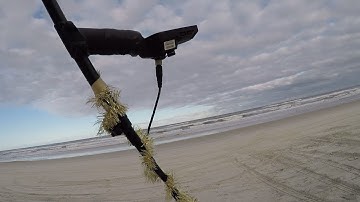 Beach Metal Detecting IDD 430 Pre Christmas Spin !