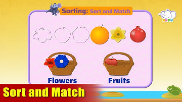 K1 - Module 4 - Exercise 1 Sort and Match | Appu Series | Kindergarten Math Learning