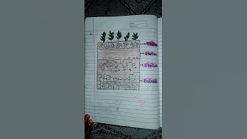 chapter 9 soil class 7th Science by its study time