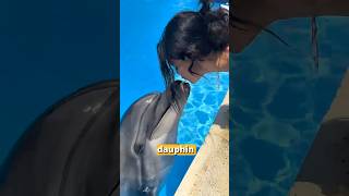 Pourquoi vous leur faites encore confiance sérieux ? #animaux #dauphin