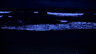 Cool night beach, rolling waves are so refreshing   ASMR relaxing sounds.