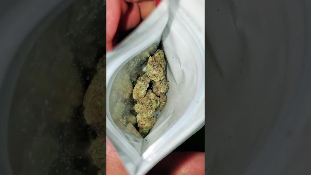 EXOTIC STRAIN REVIEW Backpackboyz Natillaz  Top Tier • 5 Points LA Natillaz 🥭🔥💦