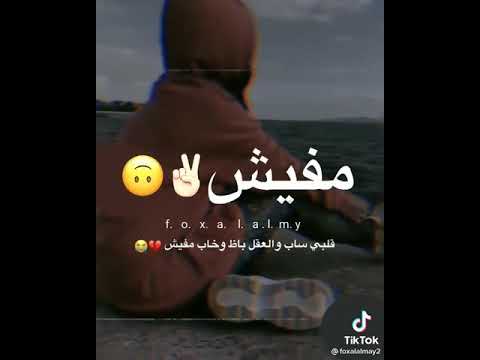 قلبي ساب وي العقل داب وي خاب