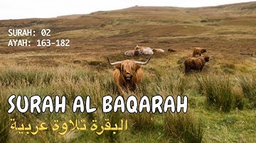 Surah Al Baqarah Ayah 163-182 | البقرة تلاوة عربية by Mishary Alafasy