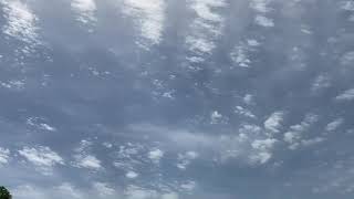 Gimmie Liang引光喚雲2020033003