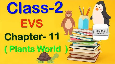 #class2||EVS ||chapter-11 ||Plant  World ||Cordova smart learning with Vijyoaccounts ||JyotiHooda