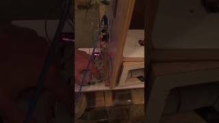 Elevator Project Micro 2