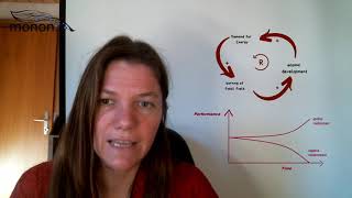 Systemic Thinking: Behaviour Over Time